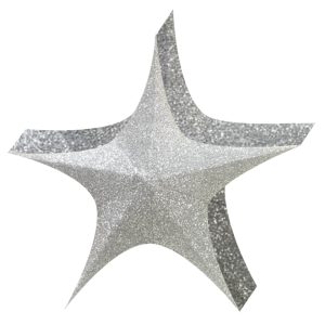 ESTRELLA 3D PLATA ARMABLE 135CM