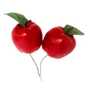 PICKS 2 MANZANAS ROJAS JUEGO/4 15CM